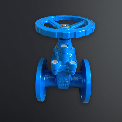 Globe-Valve